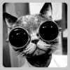 lroot